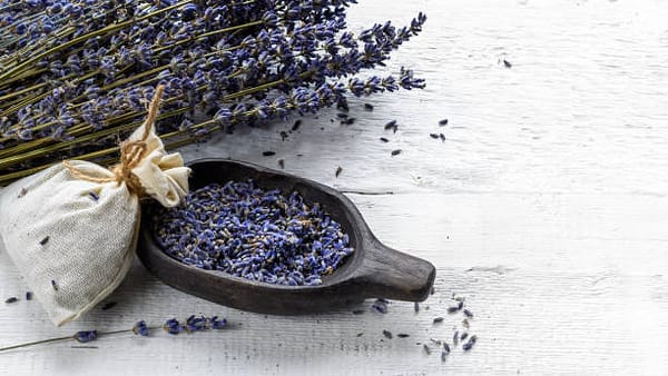 Flor de lavanda