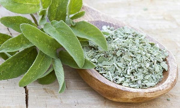 Salvia - Imagen 2