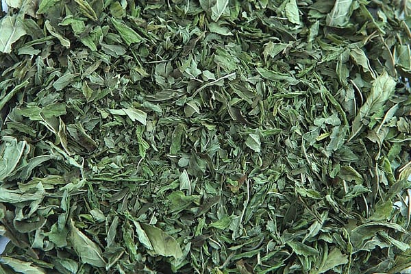 Menta - Imagen 2