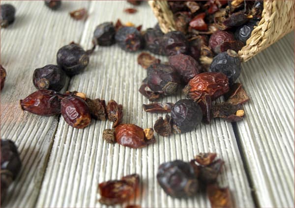 Escaramujo