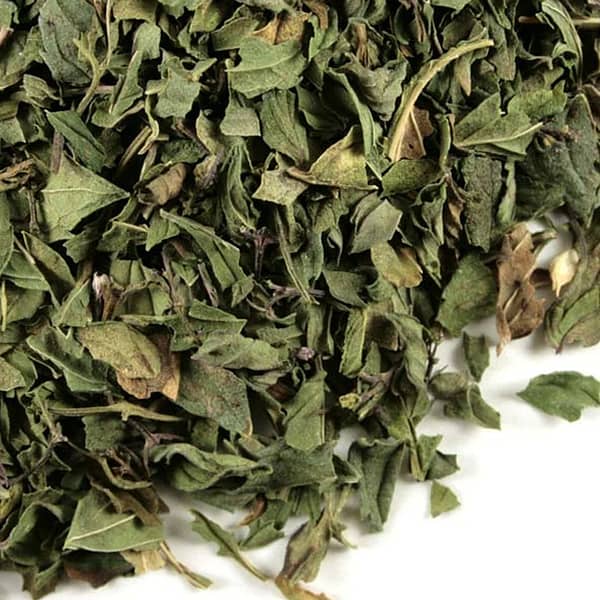 Menta