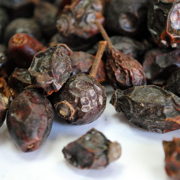 Escaramujo - Imagen 2