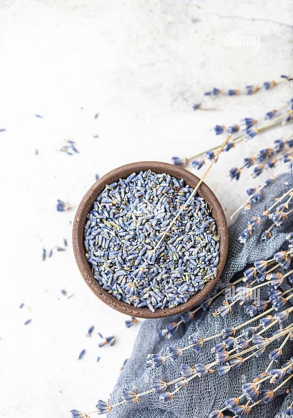Flor de lavanda - Imagen 2